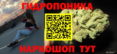 индика Можайск