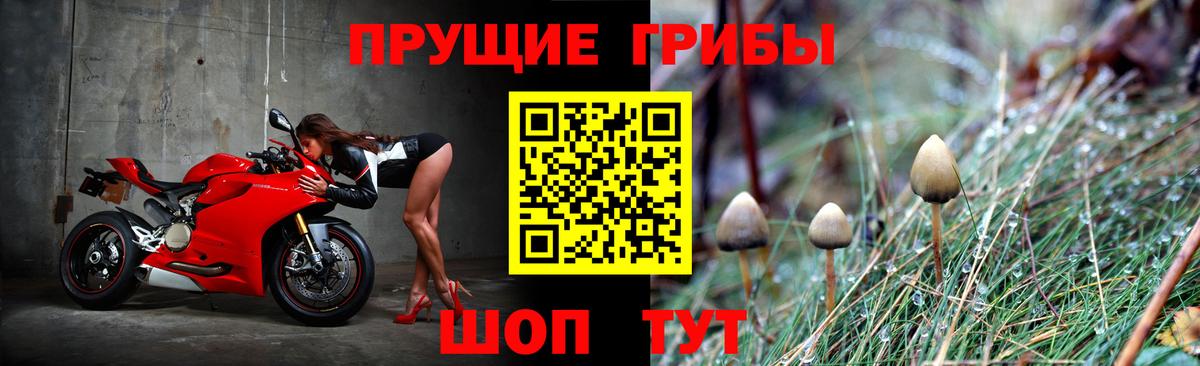 Галлюциногенные грибы Cubensis  Галлюциногенные грибы ЛСД  где купить наркоту  Ревда  Вход с VPN 